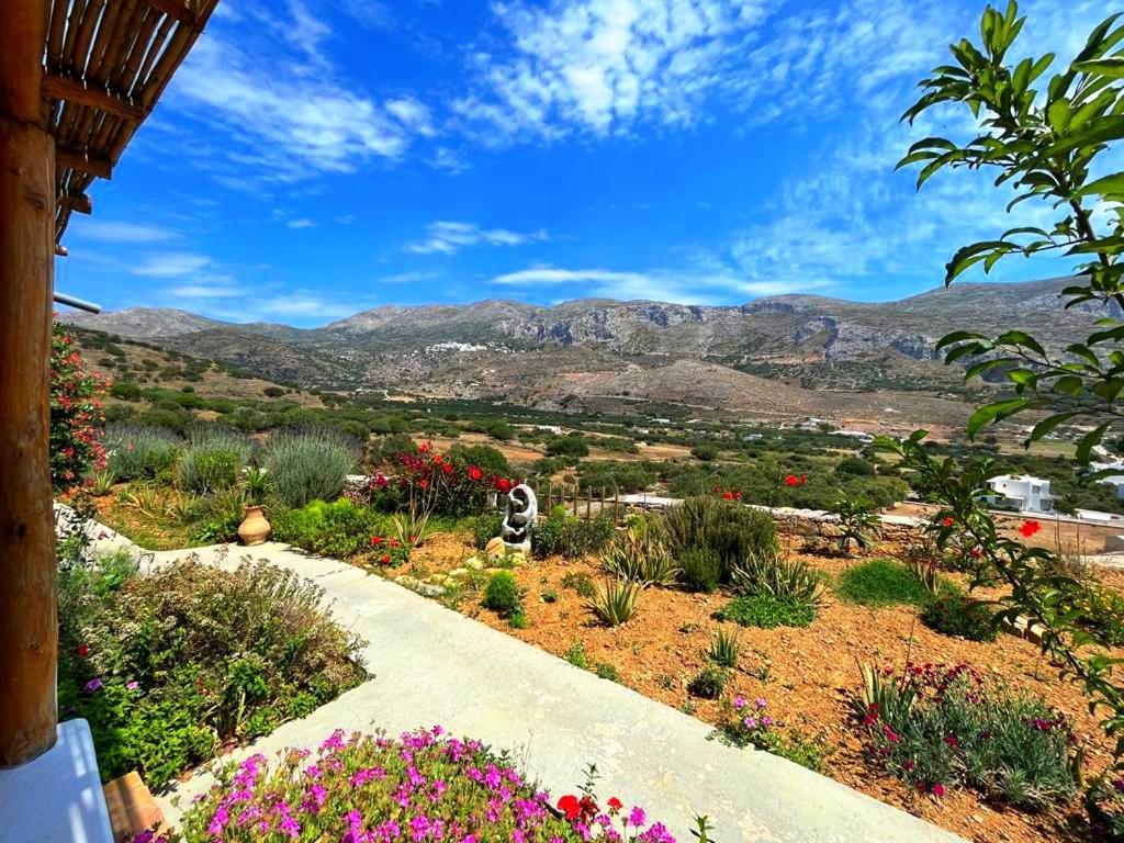 Aliori Art Caves Hotel Aegiali Exterior photo